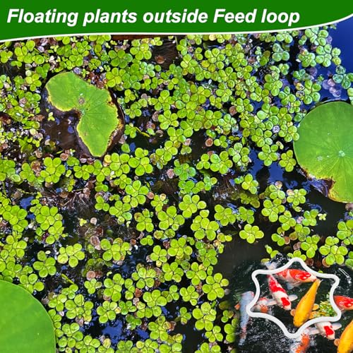 5stk Schwimmende Pflanzenringe für Aquarien, Schwimmender Pflanzenkorral aus Schaumstoff Blütenförmig Fischfütterungsringe Futterring für Aquarien zum Abfangen Schwimmender Pflanzen (Weiß)