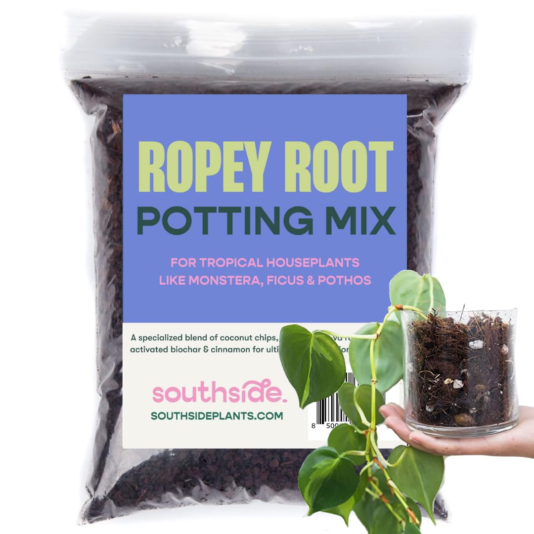 Amazon.com : Southside Plants Ropey Root - Potting Mix for Indoor