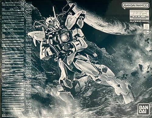 Gundam Astray Out Frame D ZGMF-X12D maquette Bandai MG 1/100 robot Jess Rabble