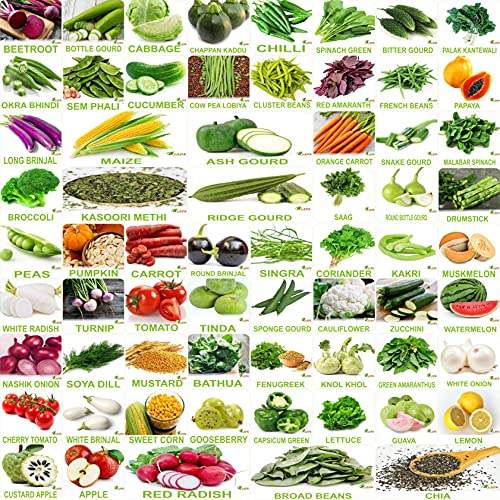 Image of No.1 Organic, Winter, Summer, Home Garden, Seeds Bank, Vegetable 65 Seeds Combo