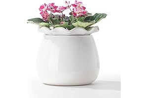 Fayoula Violet Pots Self Watering Planter for Indoor Thriving Gardens