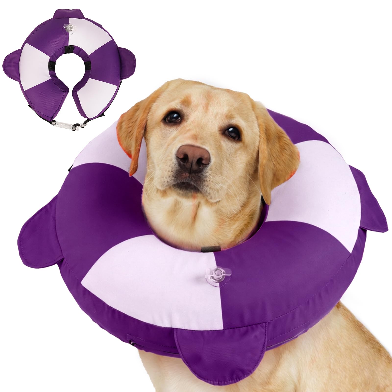 Cône gonflable pour chiens de grande taille - Collier de récupération donut XL
