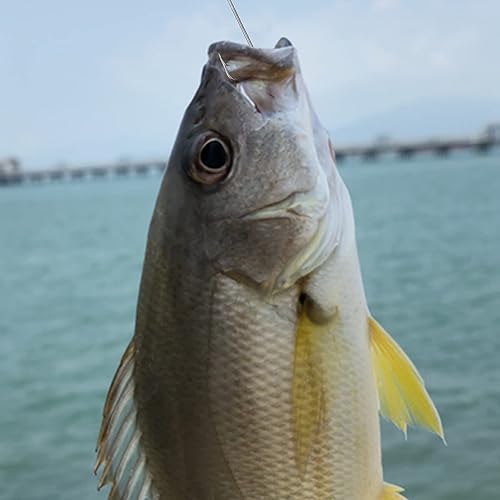 Miniatura 6 de Gancho de plantilla de pesca de 90 grados, ganchos de plantilla bárbaros, ganchos de pesca de acero de alto carbono para agua dulce y salada, tamaño