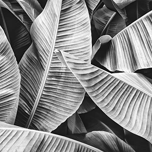 Preisvergleich Produktbild Tischdeko 20 Stück Serviette Große Blätter Schwarz weiß