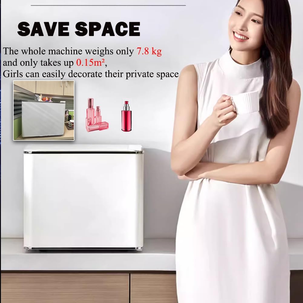 Business Professional Mini Refrigerator, Cosmetics Freezer, Office Convenient Freezer, Energy-Saving Beauty Icebox, 17L Large Capacity, Meet Your Various Refrigeration Needs