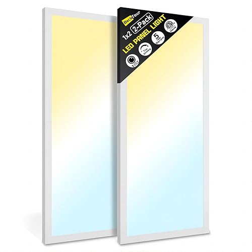 BeckTour 1x2 LED Flat Panel Surface Mount 2-Pack, Dimmable 24W 2880LM Ceiling Light with 5CCT (3000K-6000K), Ideal for Office, Home, Garage - White - 1Ft. x 2Ft. (2-PACK)