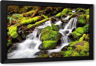 ArtDirect Forest Stream Custom Framed Art Print Giclee Print or Canvas Options with Various Sizes and Customization by Taylor, Douglas