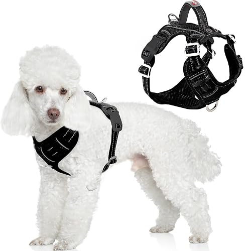 BARKBAY - Arnés para perro antitirones con bolsillo para etiqueta de identificación, resistente, reflectante…