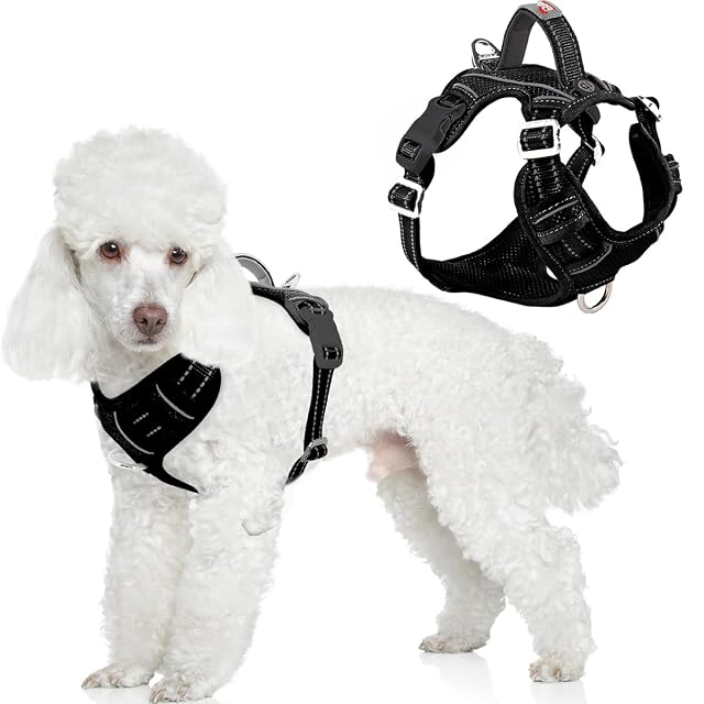 BARKBAY - Arnés para perro antitirones con bolsillo para etiqueta de identificación, resistente, reflectante…