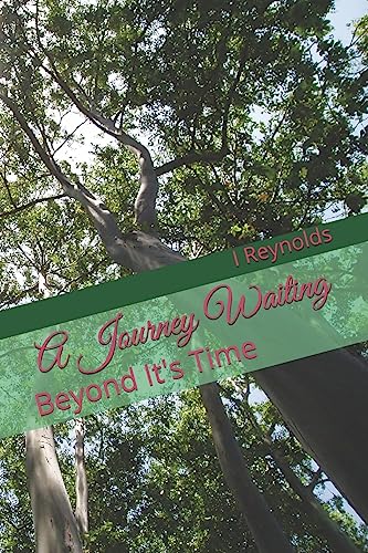 Preisvergleich Produktbild A Journey Waiting: Beyond It's Time