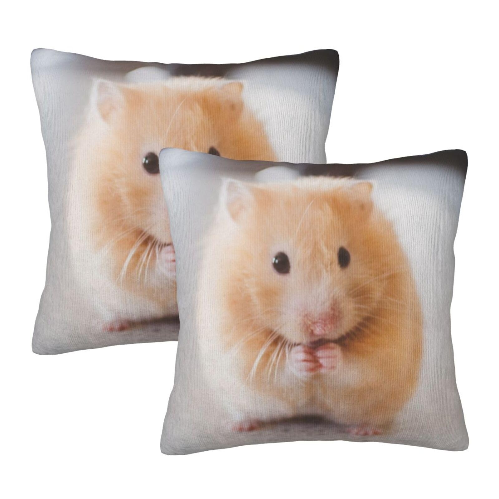 Taies d'oreiller hamster marron : lot de 2 housses carrées pour lit d'enfant et canapé