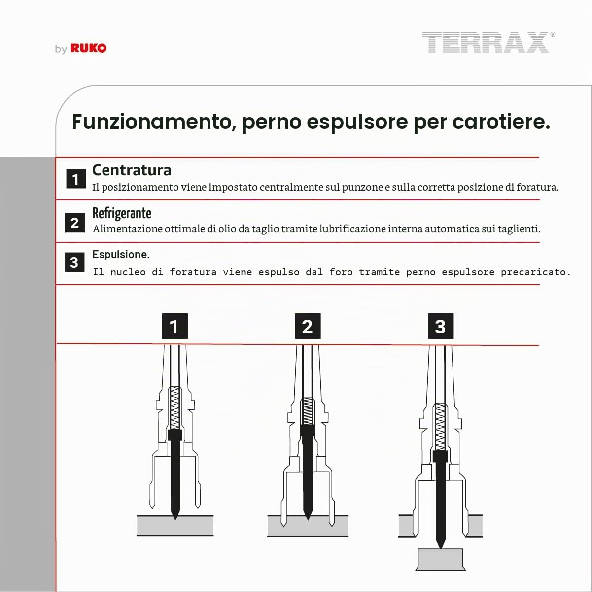 TERRAX Set di Punte a Tazza (Kernbohrer) HSS con Attacco Weldon 3/4”, Profondità di Taglio 30 mm, Set Industriale 7 Pezzi con Espulsore – Per Acciaio e Metallo