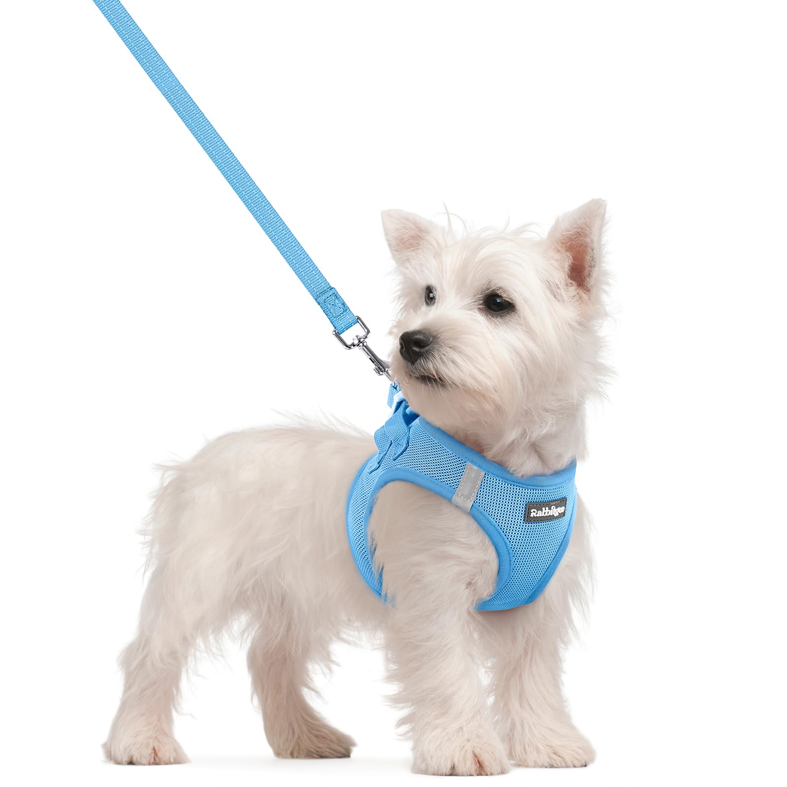 rabbitgoo Dog Harness Small Dog and Leash Set, Step-in Soft Mesh Puppy Harness with Reflective Strips, Lightweight Breathable Pet Vest for Walking Training, Blue, S