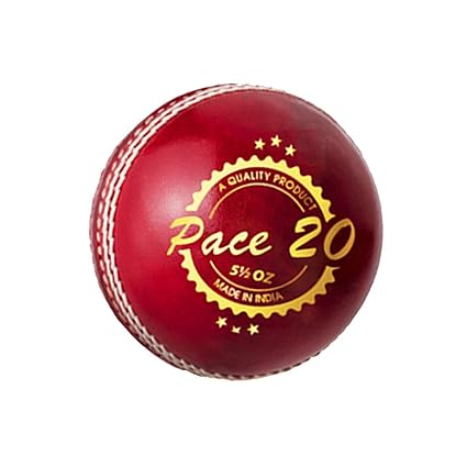 DSC Pace 20 Cricket Leather Ball (Red)