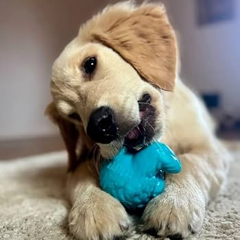 Pet Supplies : Yeti Puff and Play Dog Toy, Dog Chew Holder, Fun