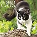 Just Tuxedo Cats 2017 Wall Calendar