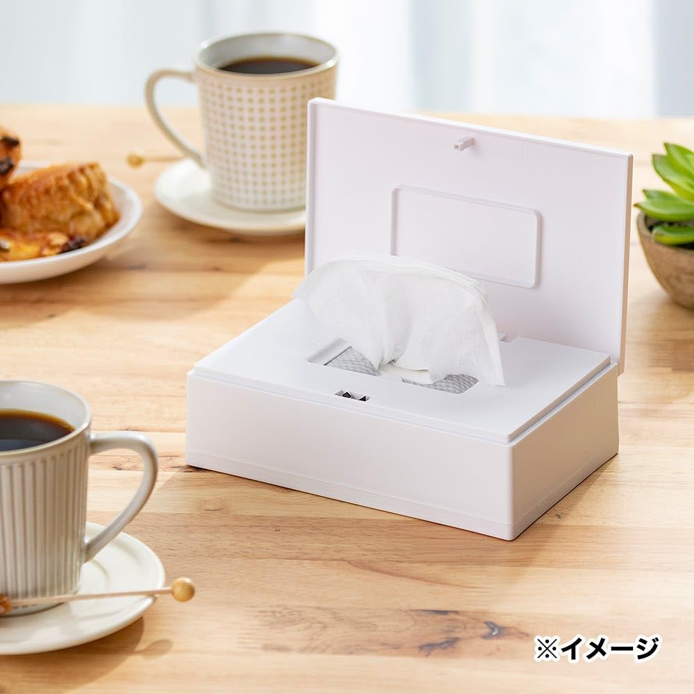 Amazon｜カインズ(CAINZ) ウェットティッシュケース 横型 幅16.8cm