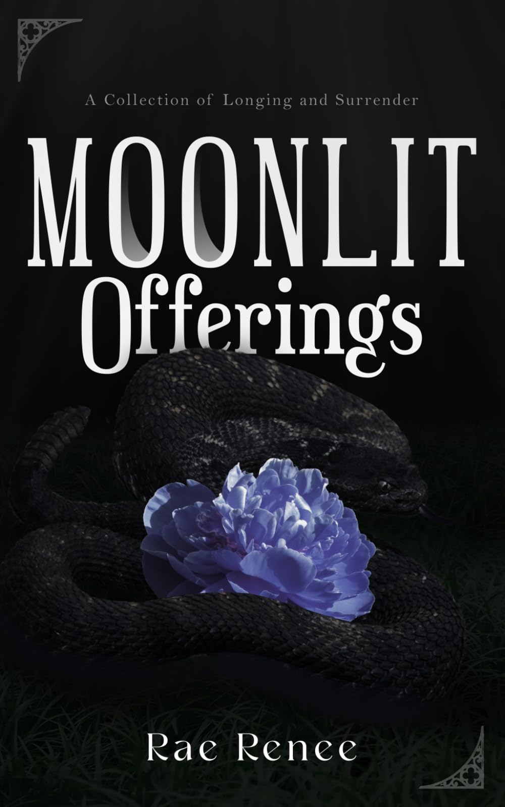 Moonlit Offerings: A Collection of Longing and Surrender