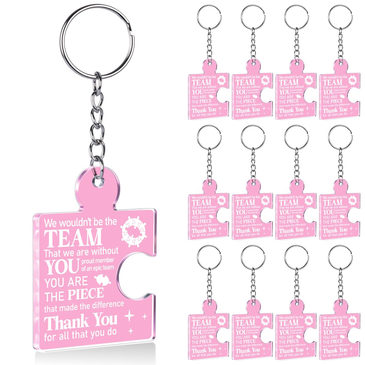 Team Appreciation Gifts Bulk Thank You Keychains for Coworkers