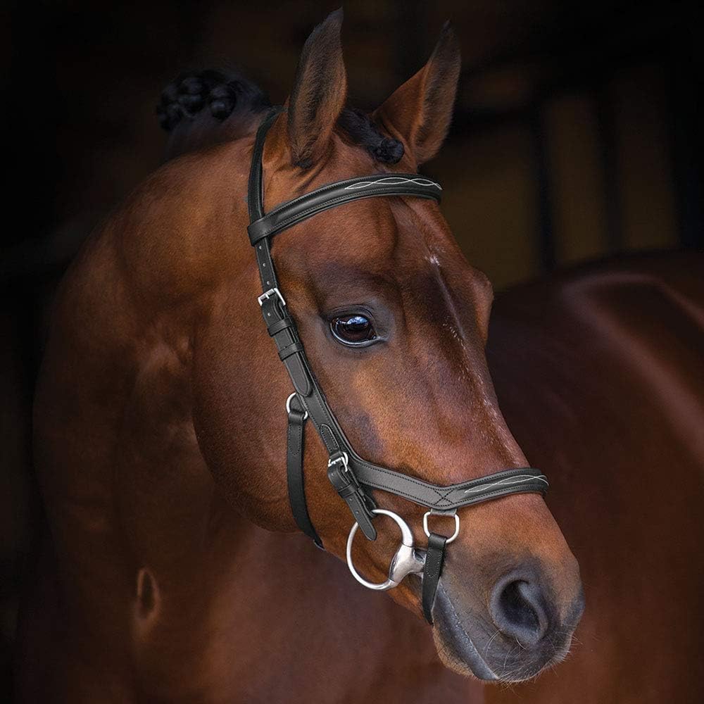 Rambo Micklem Deluxe Competition Bridle Standard H