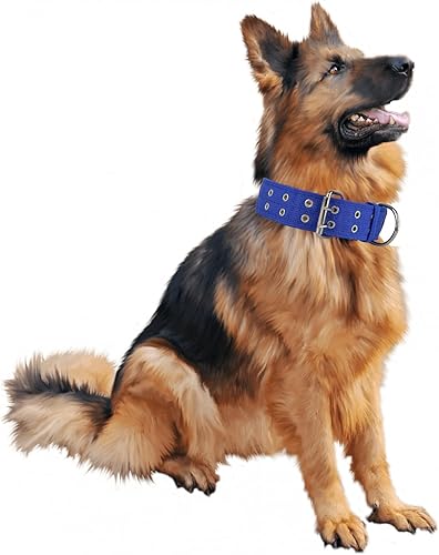 Miniatura 6 de Collar de perro ajustable militar, anillo en D de 2 pulgadas de ancho y hebilla de 2 filas, collar de perro táctico de nailon verde