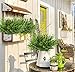 Nahuaa 4pcs Plantas Artificiales al Aire Libre Plantas Falsas Plantas Verdes Artificiales...