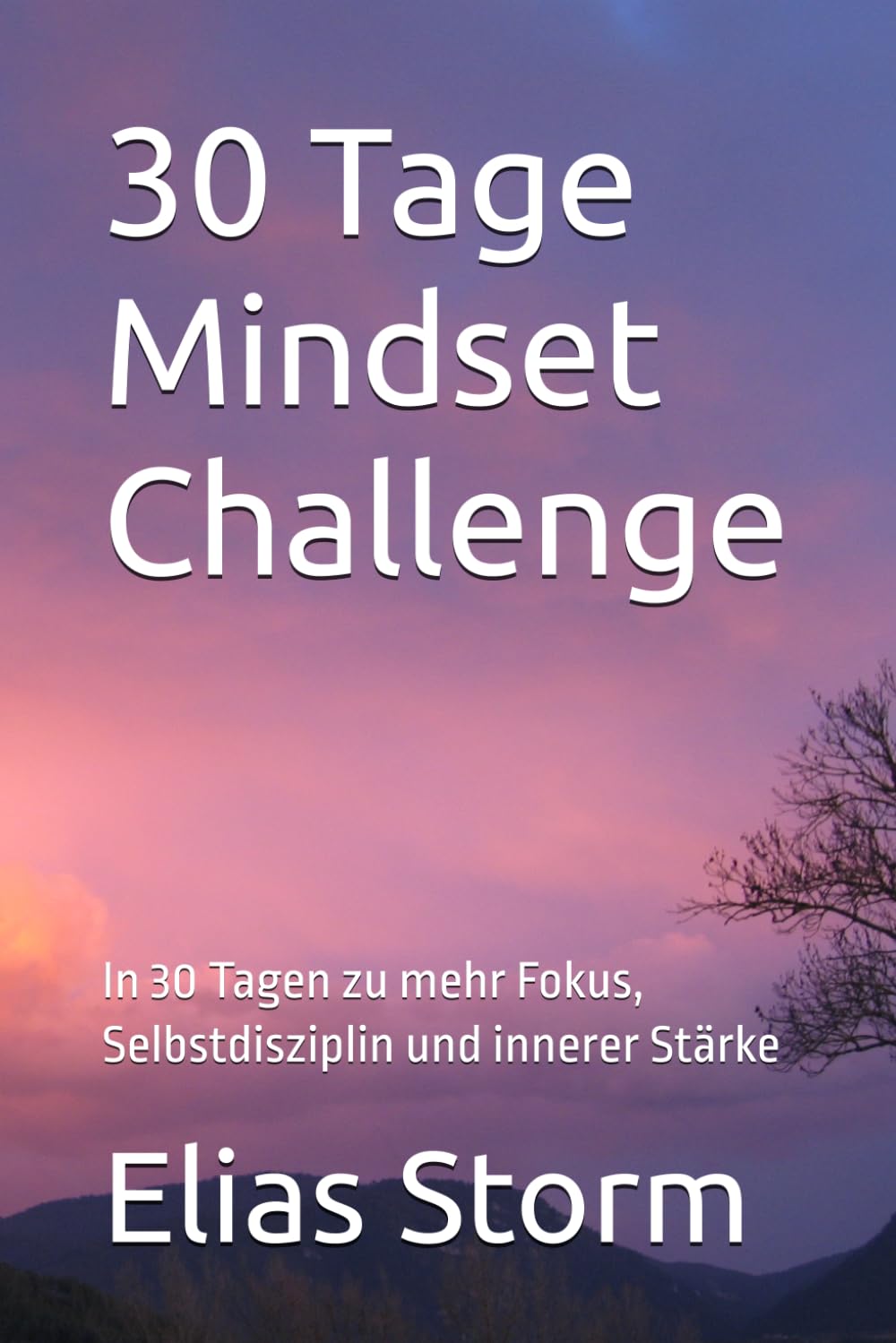 30 Tage Mindset Challenge: In 30 Tagen zu mehr Fokus, Selbstdisziplin und innerer Stärke (Die 8 Schlüssel zur besten Version deiner Selbst)