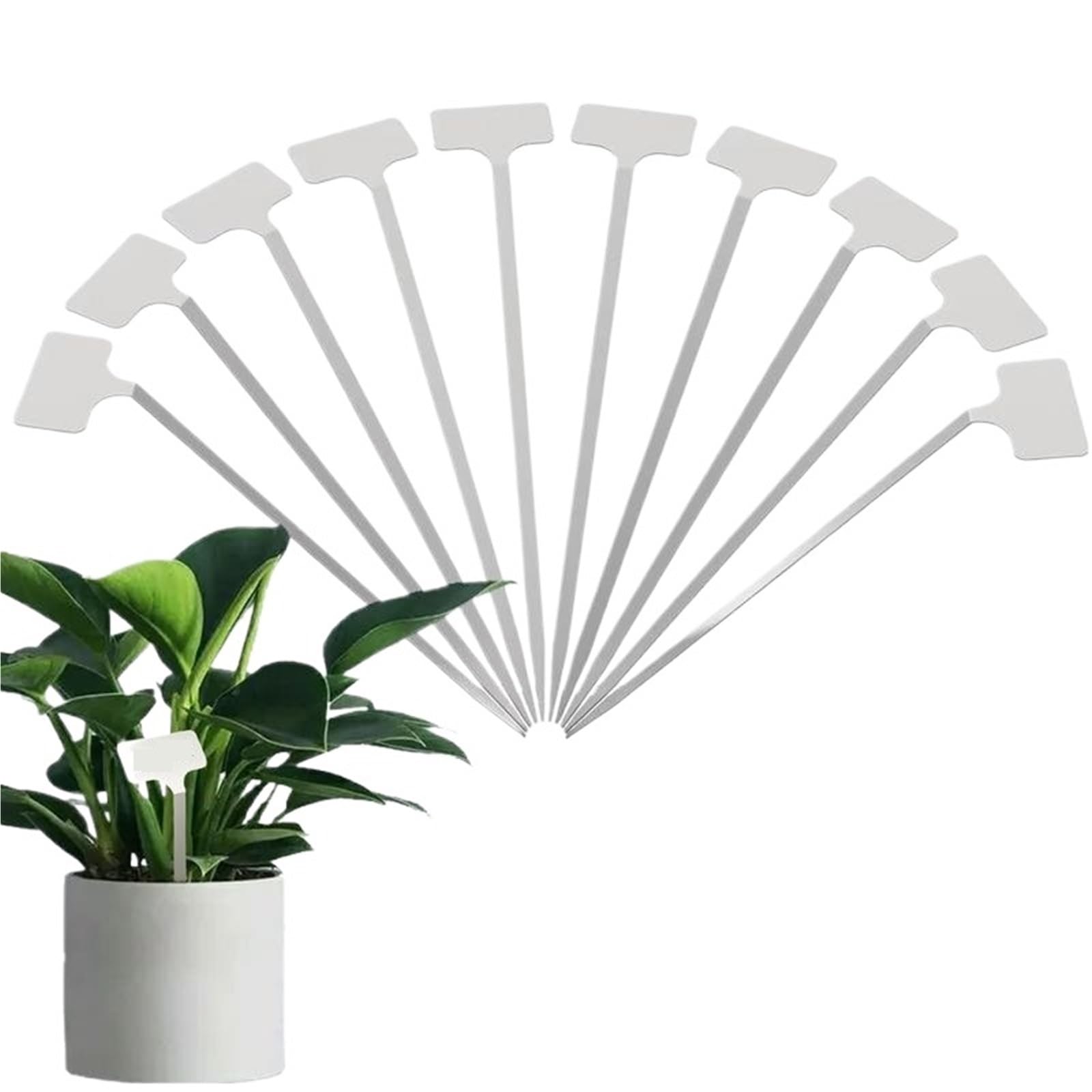 Marqueurs de plantes en acier inoxydable, étiquettes semis réutilisables, 10 pièces Pour l'enregistrement des noms de plantes