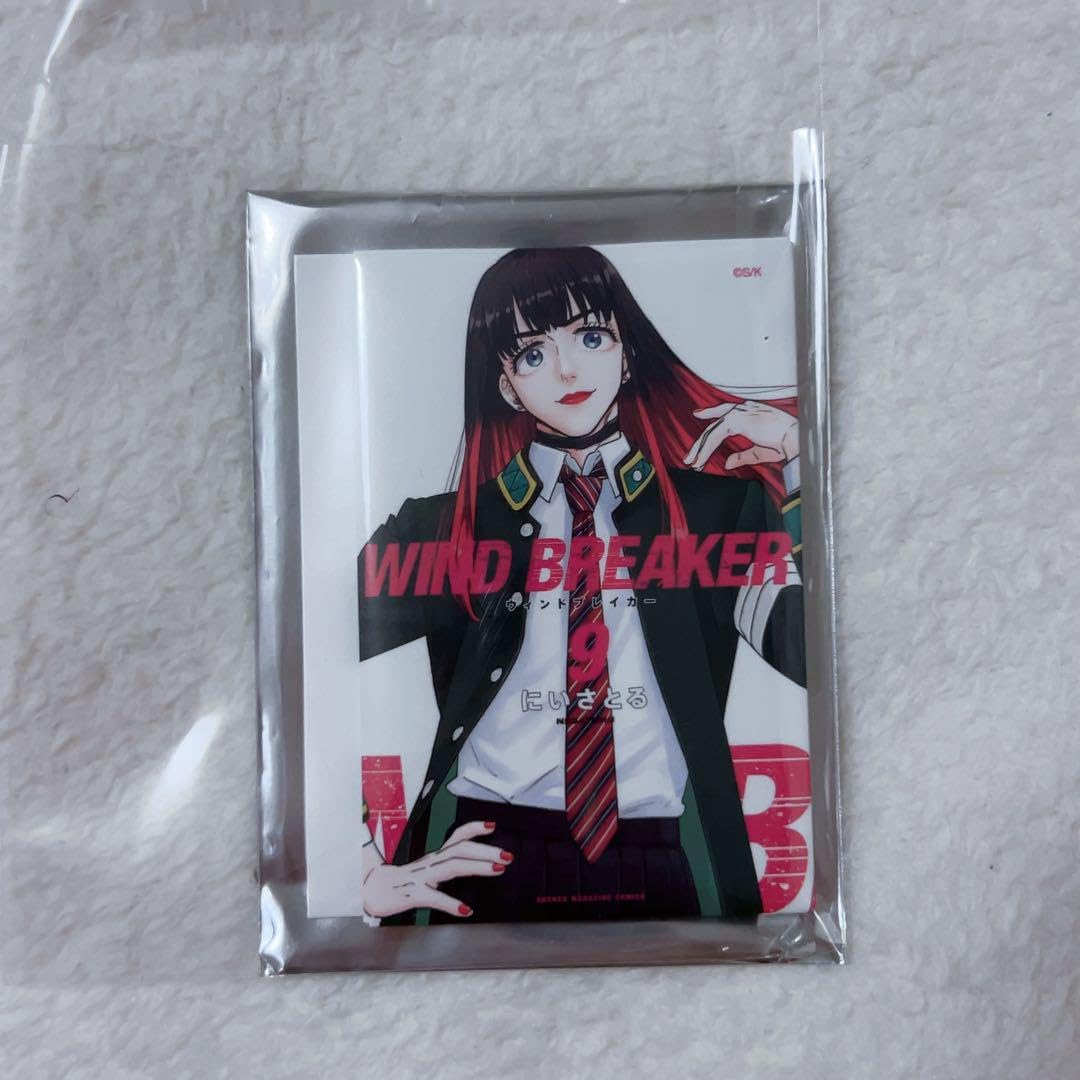 WIND BREAKER ウィンブレ 椿野佑 WIND BREAKER（ウィンブレ）』椿野 佑（つばきのたすく）解説