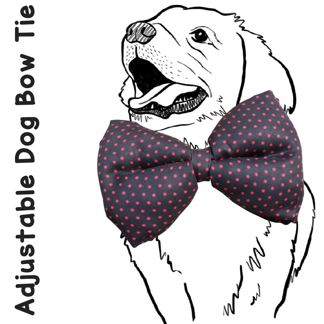 Lana Paws Black & Red Polka Bowtie with Easy to Use Adjustable Strap (B07L9TWKRJ) Amazon Price History, Amazon Price Tracker