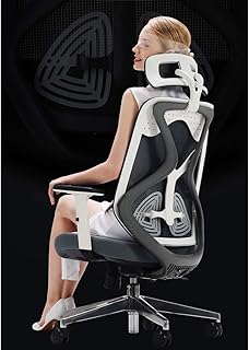 MISS&YG Sedia Avanzata Computer Ergonomica Mesh, Home Office Chair Butterfly Wing Design A Doppio Supporto Lombare, Cuscino Resistente E Confortevole Adatto A Casa, Ufficio
