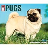 2016 Just Pugs Box Calendar