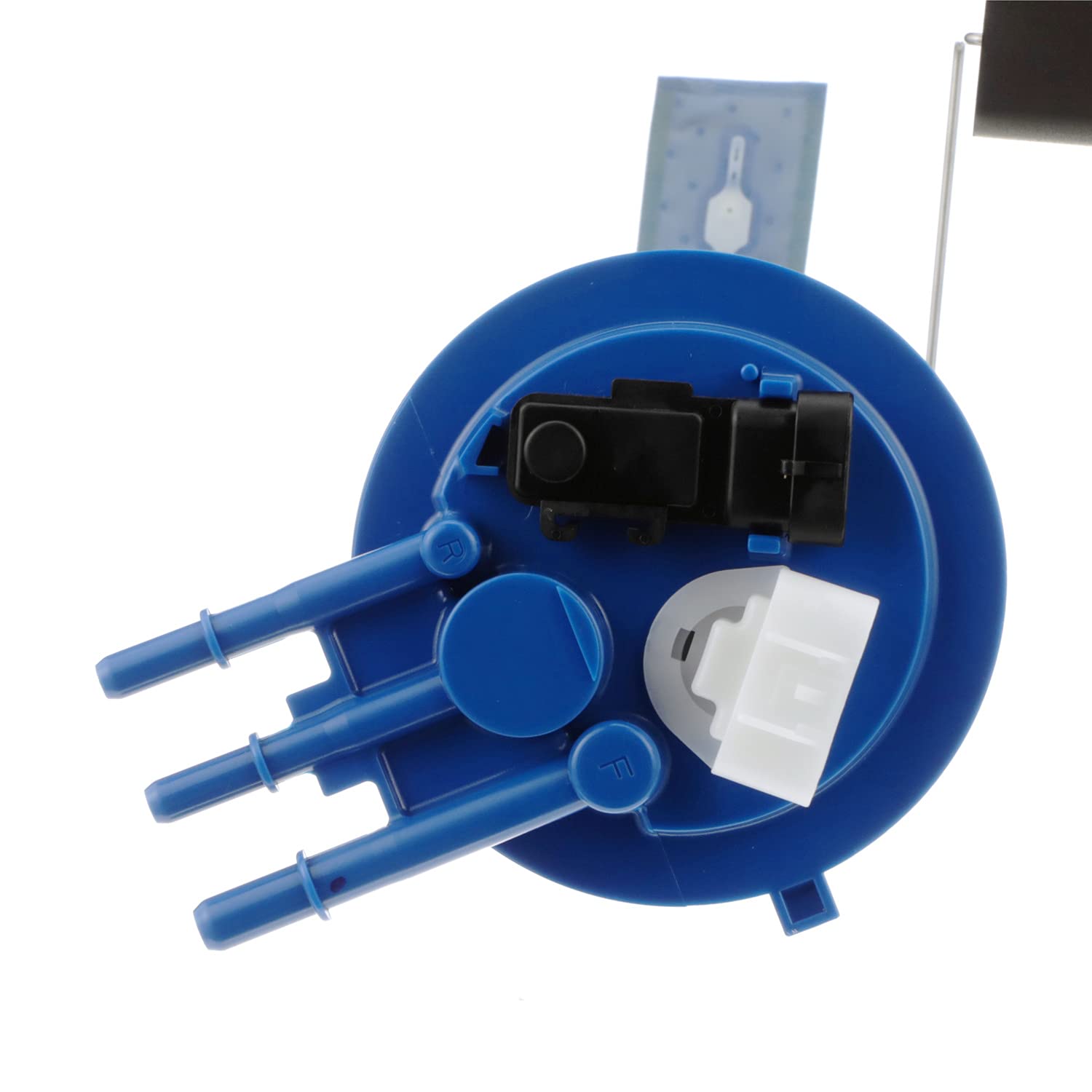 Amazon.com: Delphi FG0053 Fuel Pump Module : Automotive