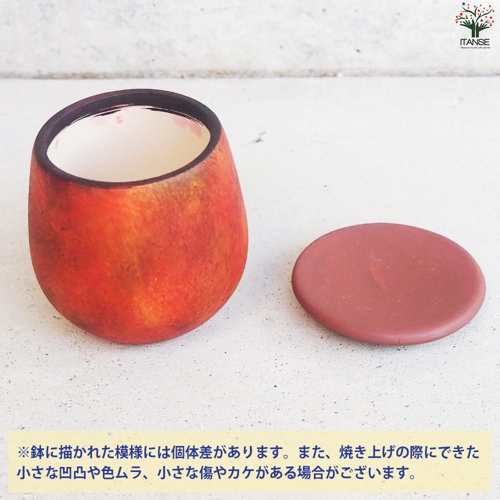 高さは、30cm陶器 Amazon.co.jp: ITANSE 皿付陶器鉢 彩色焼磁 オレンジ 8cm