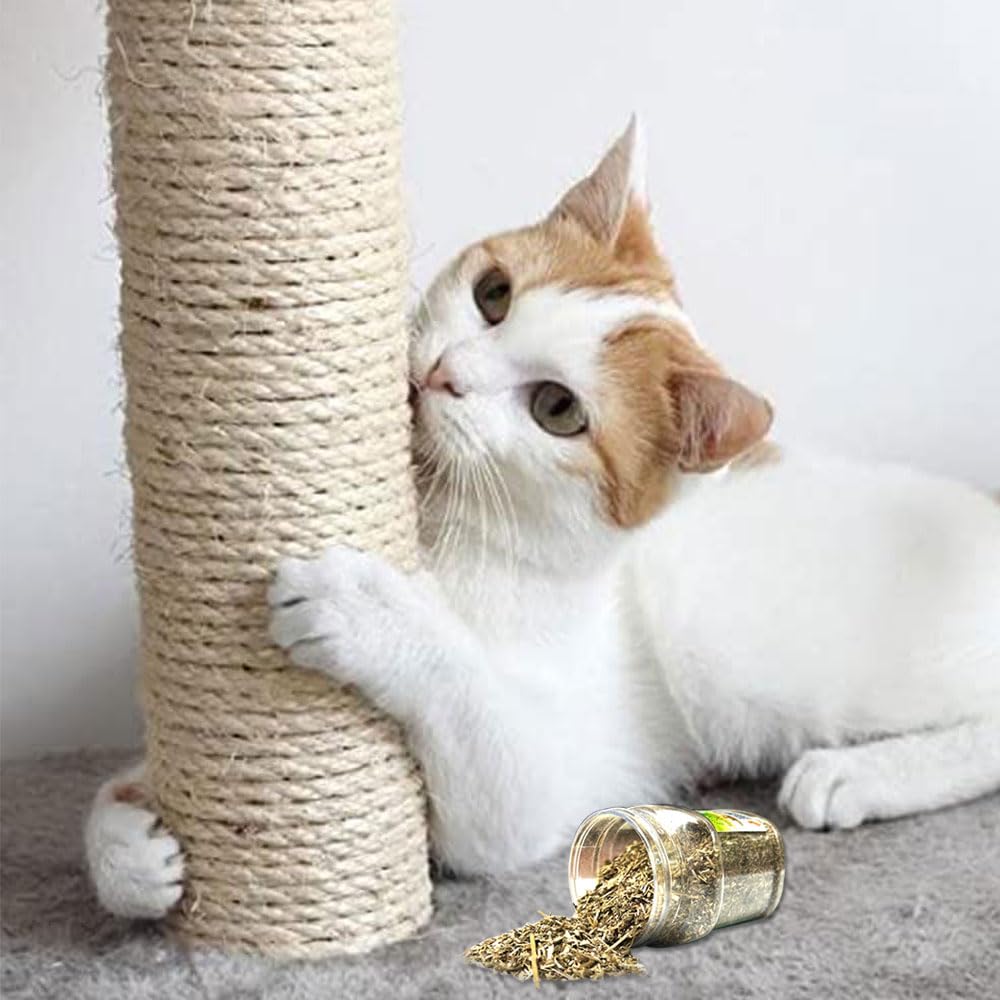 Mats Avenue® Natural Sisal Rope for DIY Cat Post/Cat Tree/Cat and Kitten Scratch, General Tying Rope 375 Grams (32MTR) for Cat Play Beige 5MMThickness with 200 Ml Catnip (B0D48TCSGT) Amazon Price History, Amazon Price Tracker