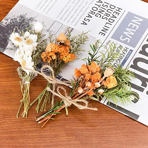10PCS Mini Ramilletes de Flores Secas para Manualidades miniatura 7