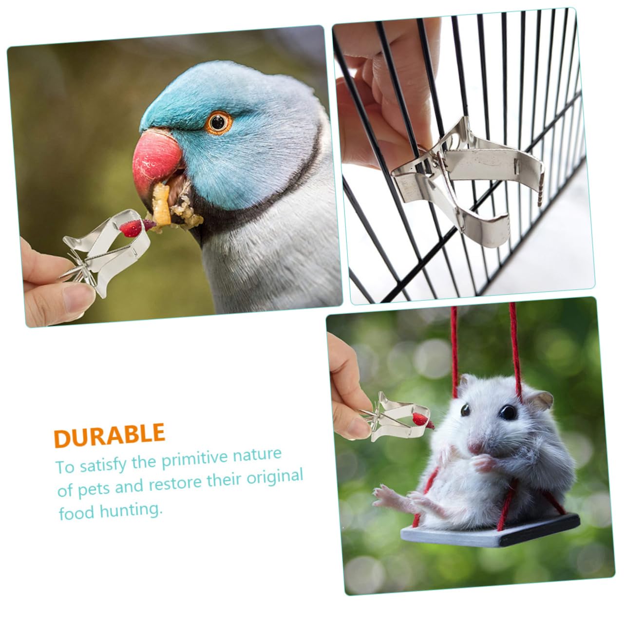 Yardwe 30piezas Soporte De Alimentos para Pájaros Inoxidable Clips para Jaulas para Alimentación De Periquitos y Aves