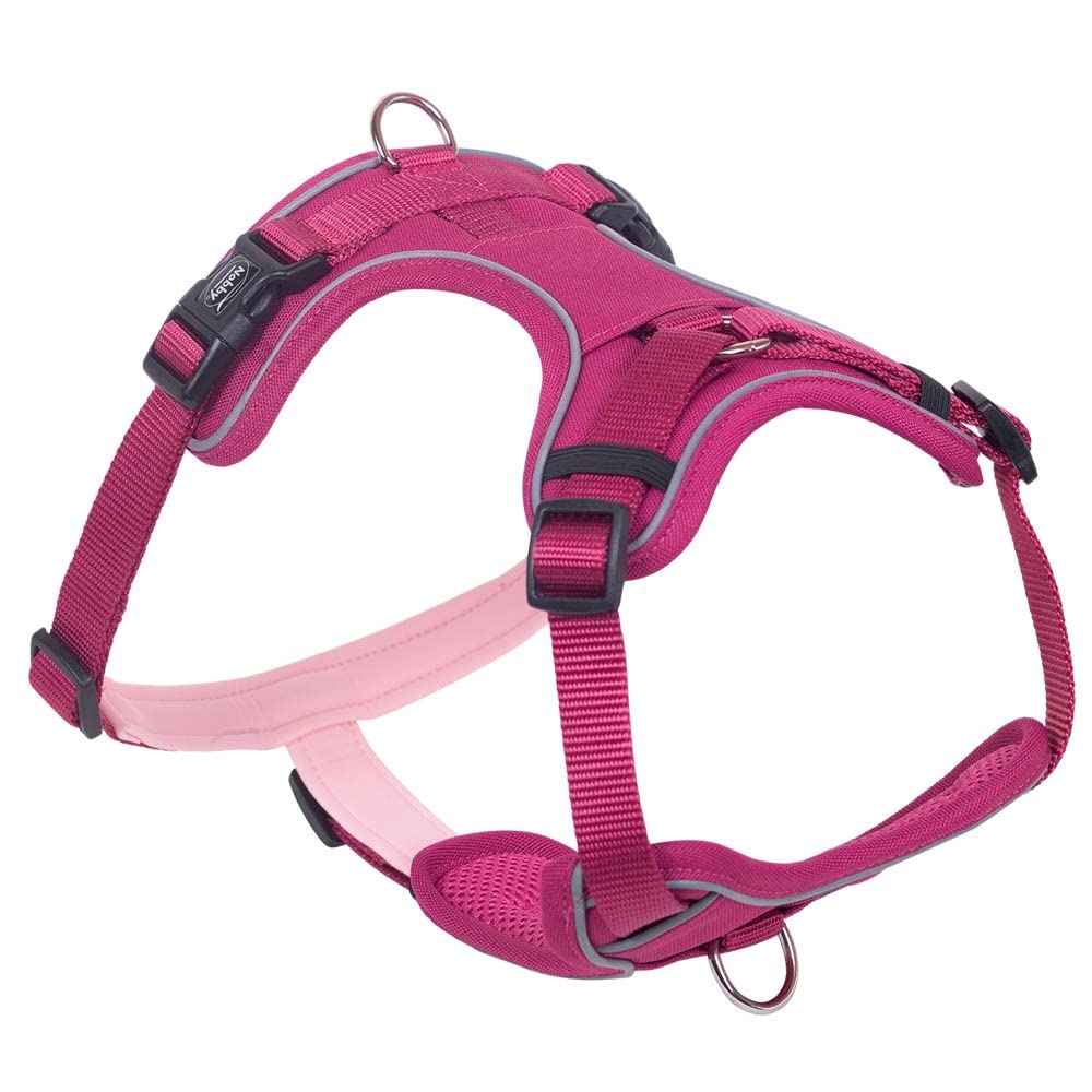 Nobby Comfort Harness Mailo Raspberry, M: Chest: 35-50 cm, Belly: 60-75 cm, W: 20 mm, Pack of 1