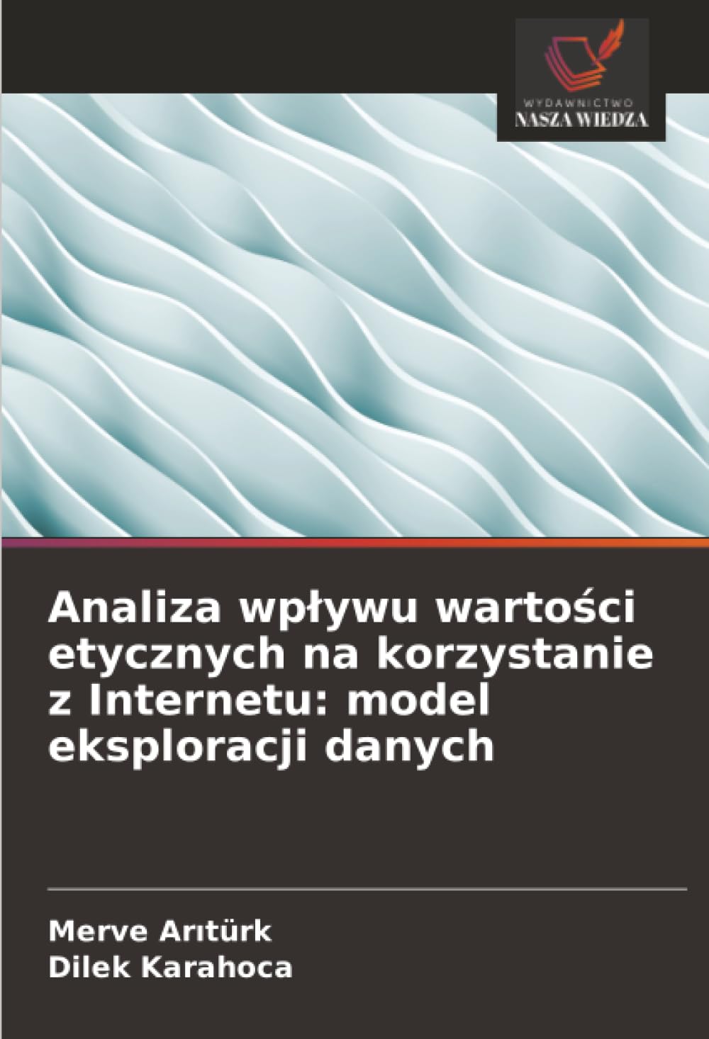Analiza wpływu wartości etycznych na korzystanie z Internetu: model eksploracji danych