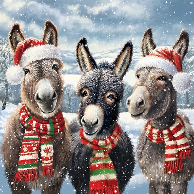 Noel Tatt Charity Christmas Cards Pack of 10 Donkeys in Santa Hats