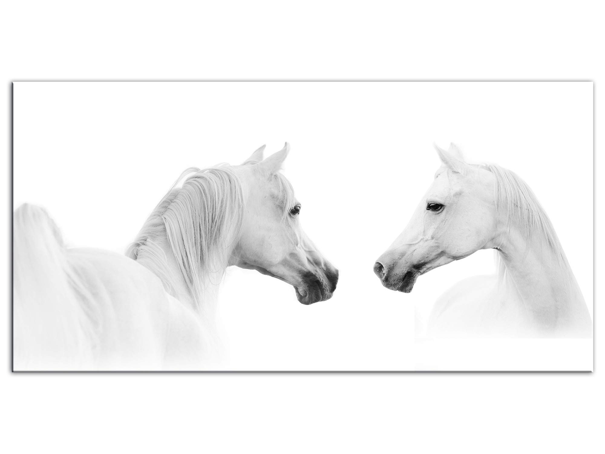 Declina, Cuadro de Animales, Cuadro Decorativo de Pared, Lienzo no Tejido, Cuadro Decorativo Moderno de los Caballos 60 x 30 cm, Lona, Negro y Blanco, 60x30 cm