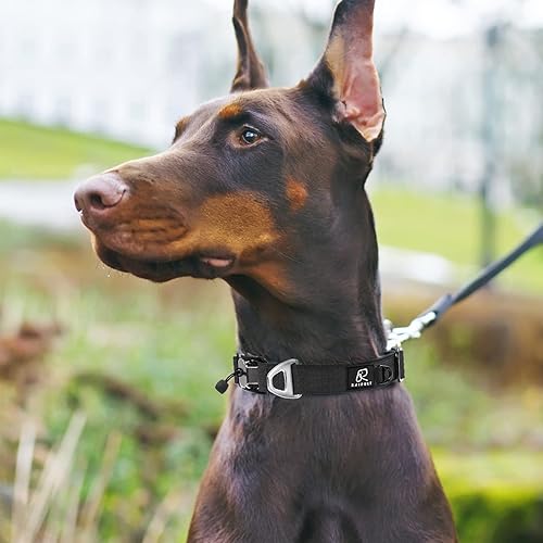Miniatura 3 de Raipult Collar magnético para perro de alta calidad collar táctico resistente con hebilla de liberación rápida y cierre automático collares