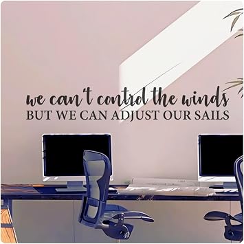 My Vinyl Story - We Cant Control The Wind Wall Decal - Inspirational Sticker Quote, Motivational Vinyl Word Art Decor for Home Office, Classroom, Affirmation, Removable Black, 42x8 inches