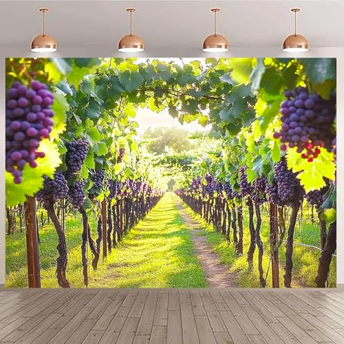 1 Pieza de Vid de UVA Rural y Fondo de Paisaje de Bodega - Bandera de viñedo Utilizada para la decoración de la Boda de la Fiesta