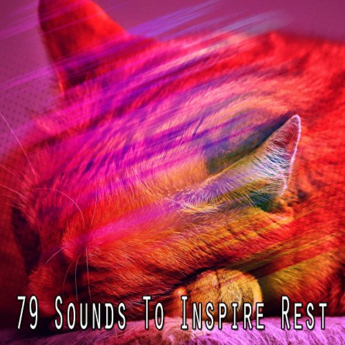 Play 79 Sounds To Inspire Rest by Ocean Sounds Collection on Amazon Music
