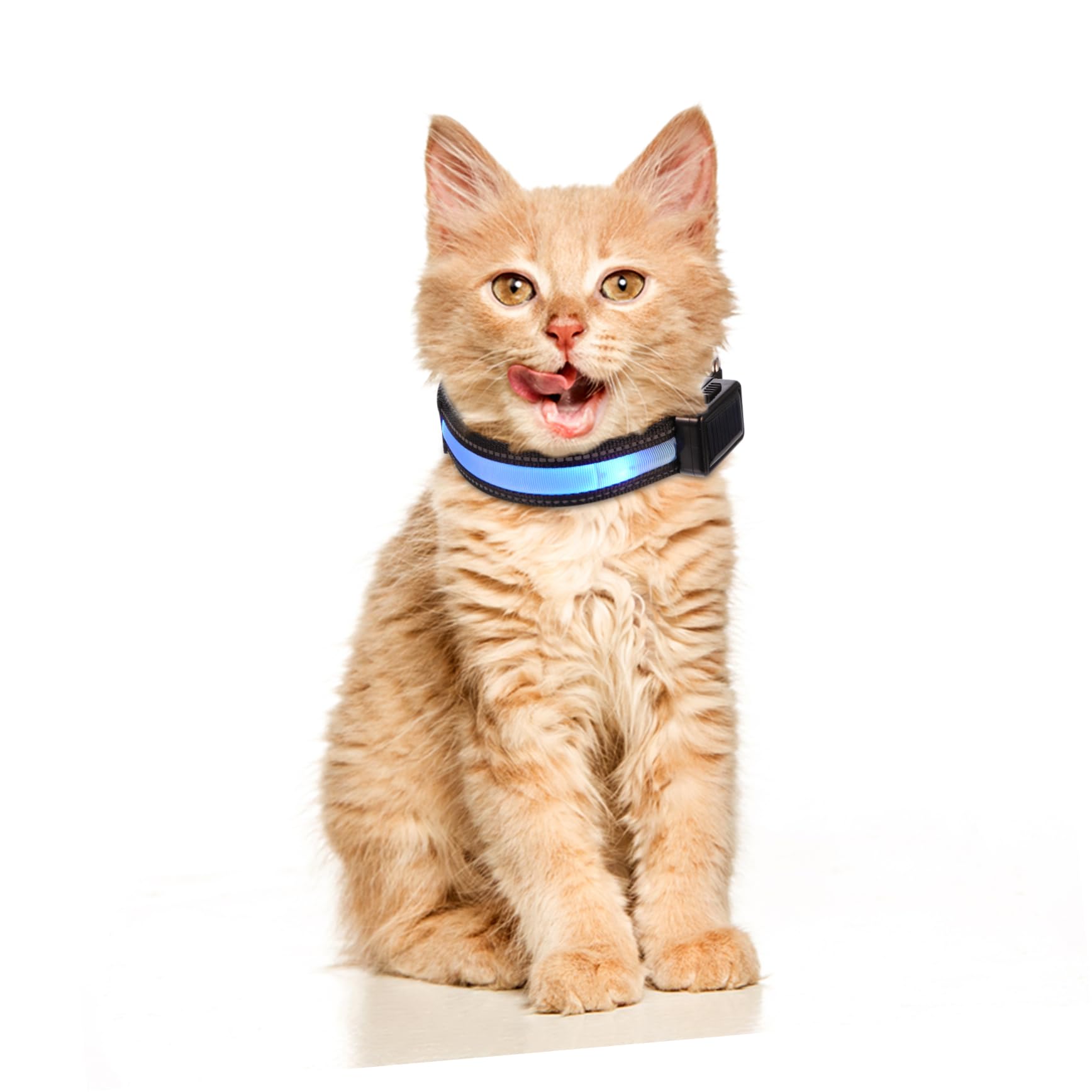 FOMIYES 3juegos Collar Led Recargable Solar para Collar De Seguridad Nocturna Accesorio para