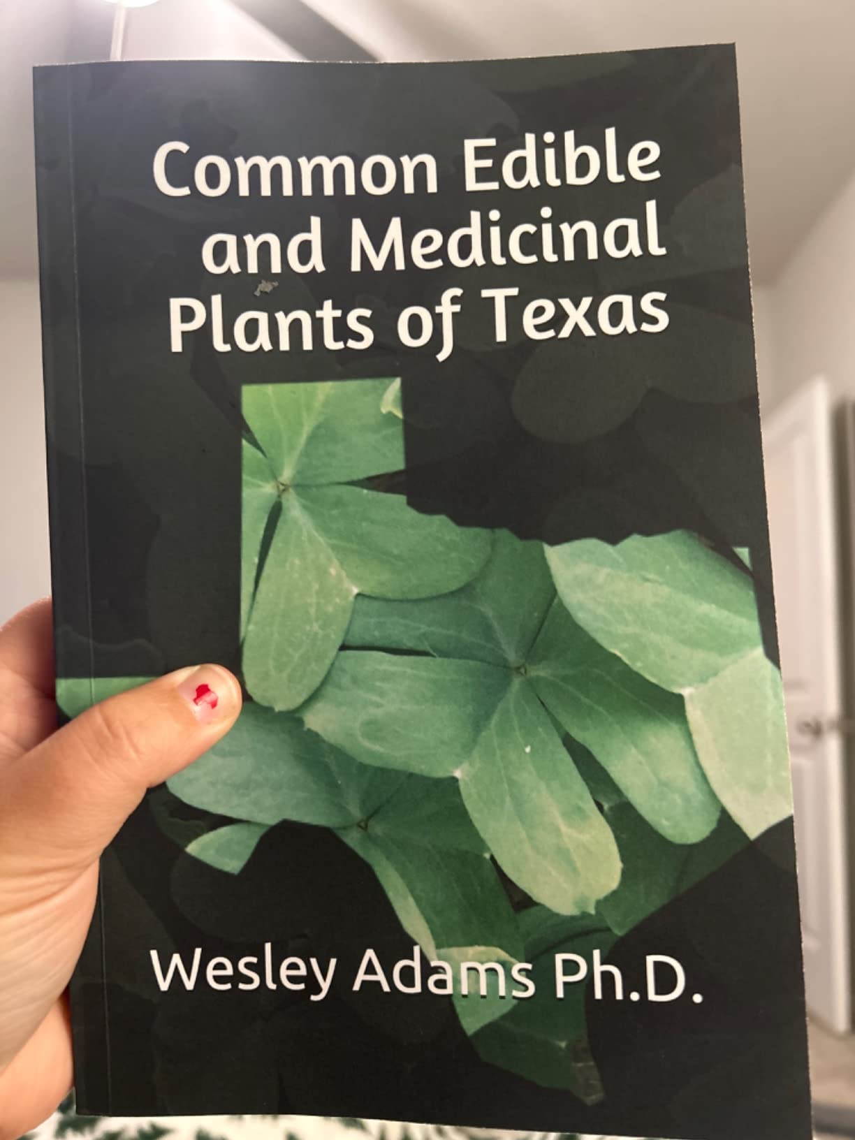 Common Edible and Medicinal Plants of Texas eBook Adams