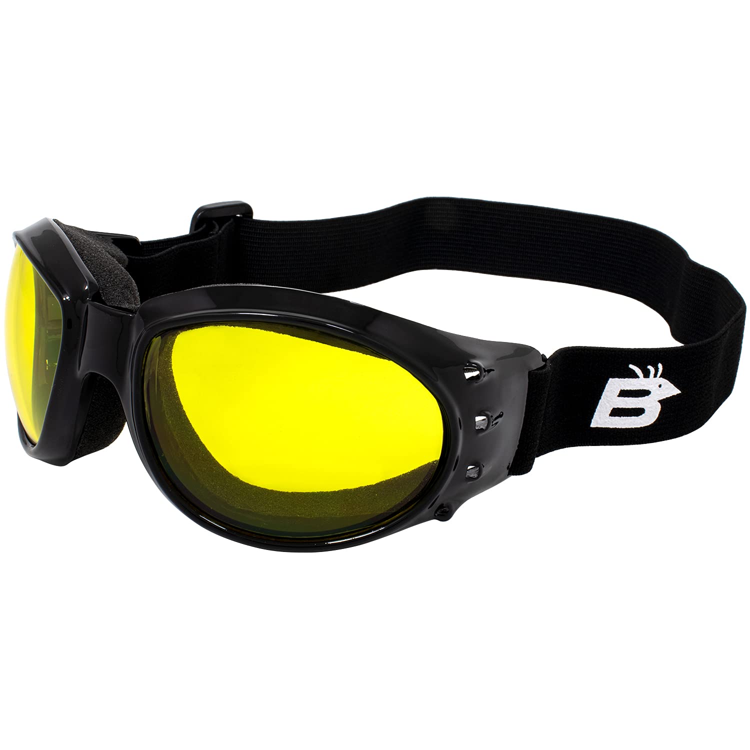 Birdz Eyewear Eagle Motorcycle Goggles