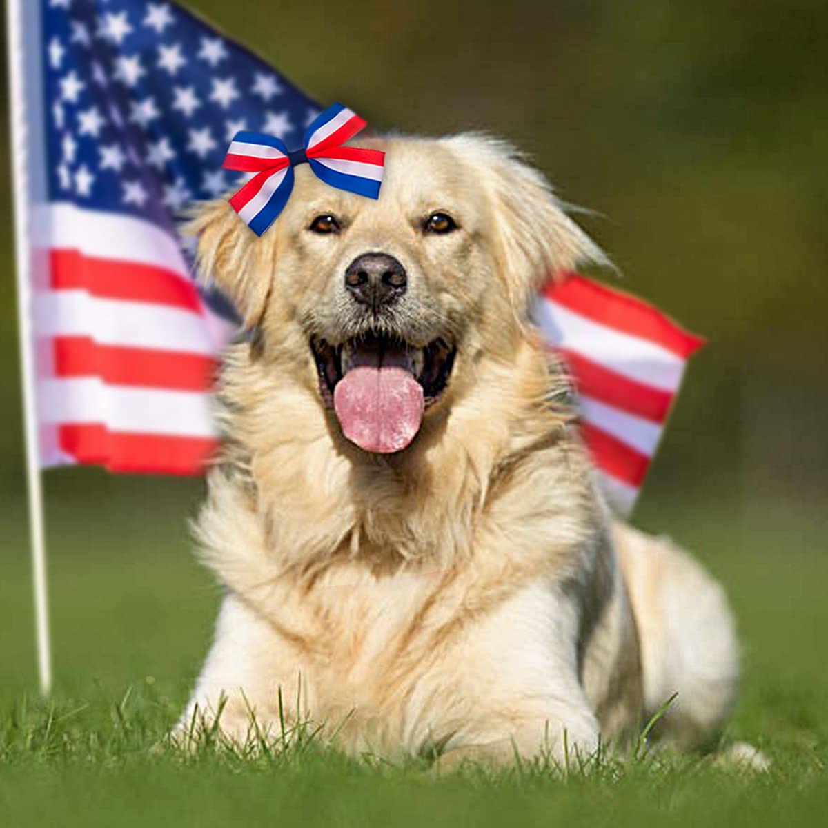 4th Of July Dog Outfit 100Pcs/50Pairs Independence Day Dog Bows