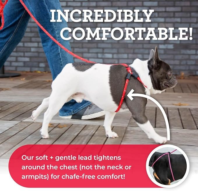 Gentle Leader For Dogs AIITLE Step In And Leash Set Breathable